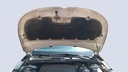 CAR HOOD