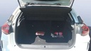 TRUNK
