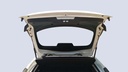 TRUNK HOOD