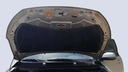 CAR HOOD