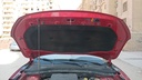 CAR HOOD