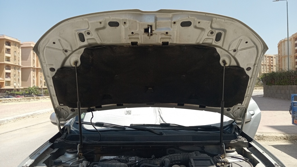 CAR HOOD