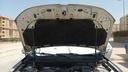 CAR HOOD
