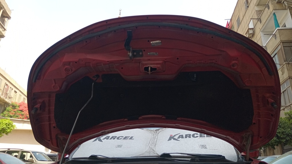 CAR HOOD