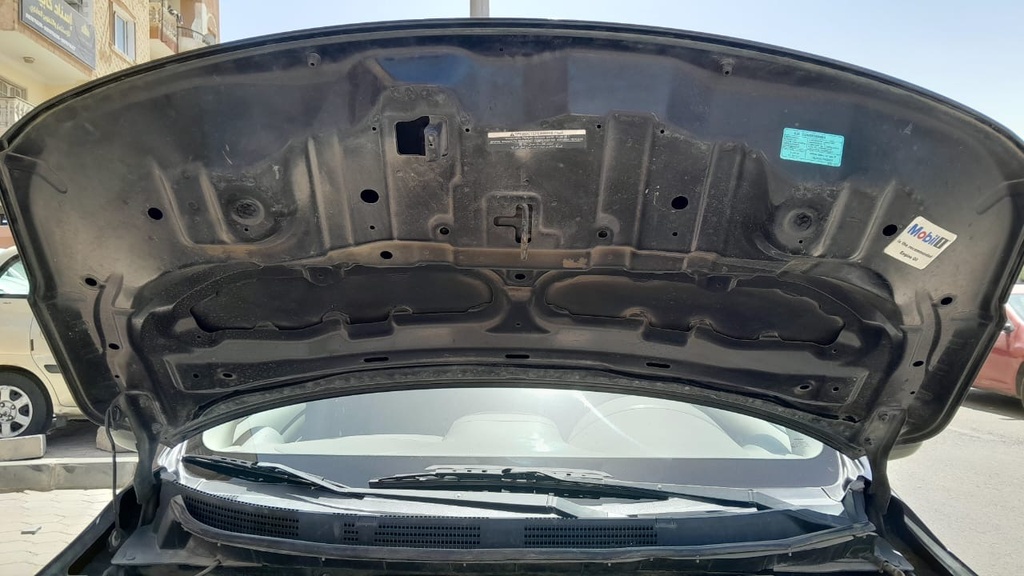 CAR HOOD