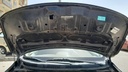 CAR HOOD