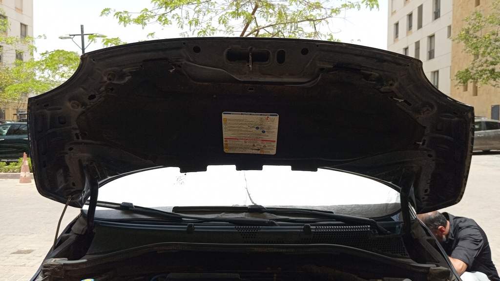 CAR HOOD