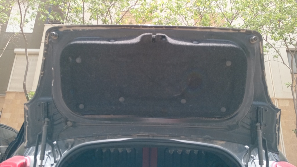 TRUNK HOOD