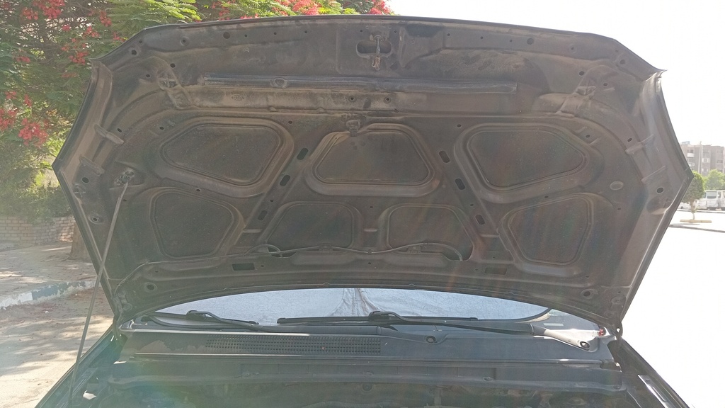 CAR HOOD