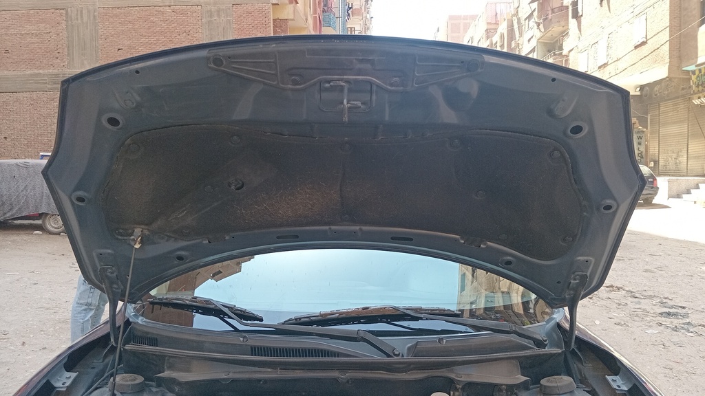 CAR HOOD