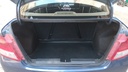 TRUNK