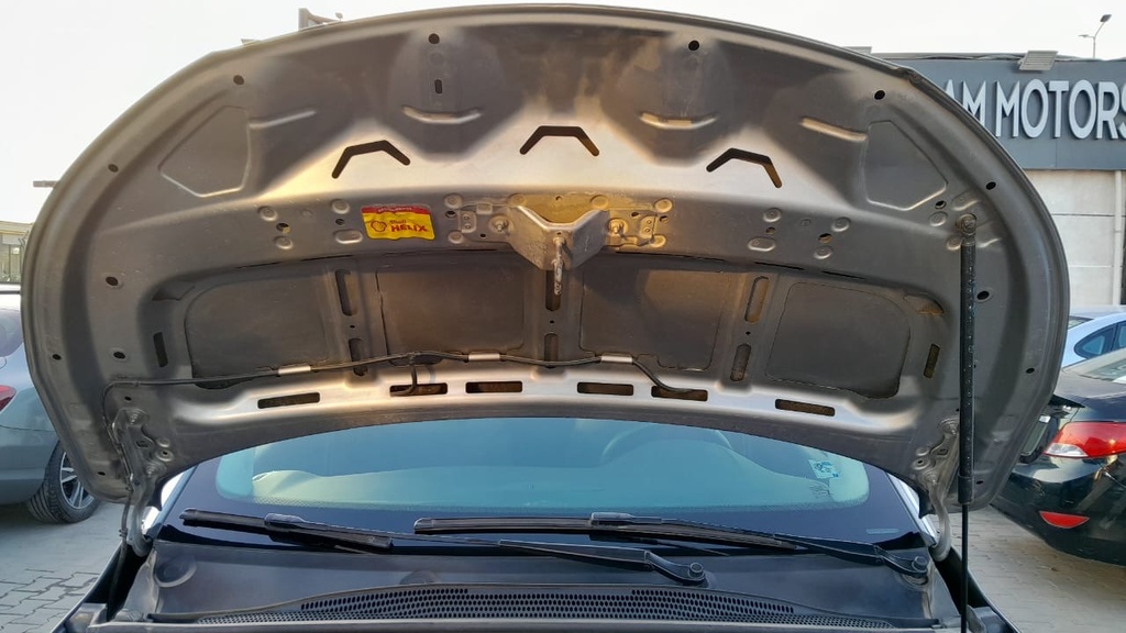 CAR HOOD