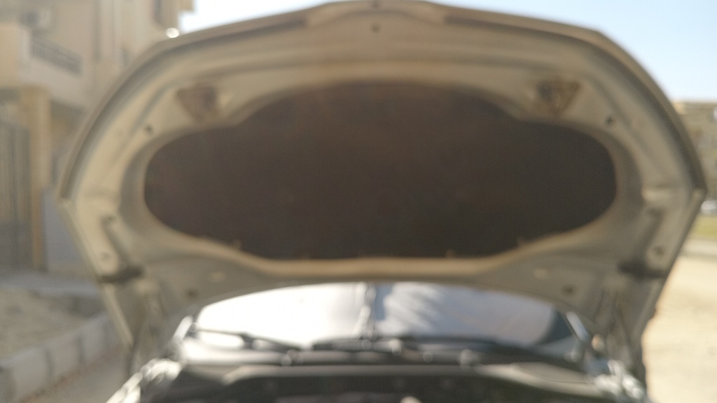 CAR HOOD