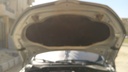 CAR HOOD