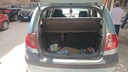 TRUNK