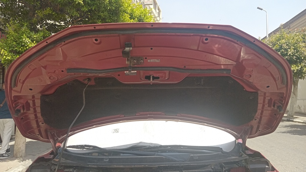 CAR HOOD