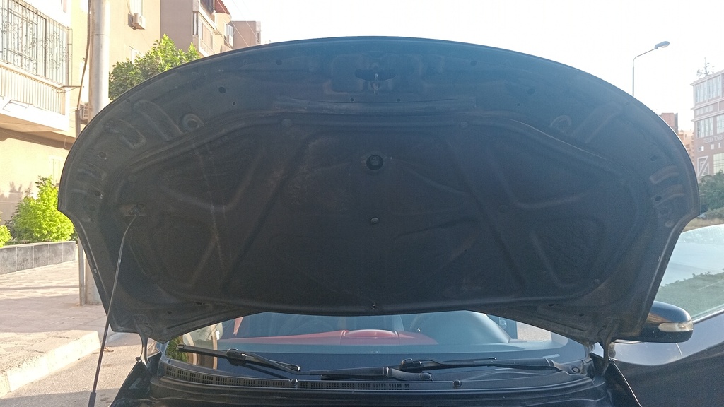 CAR HOOD