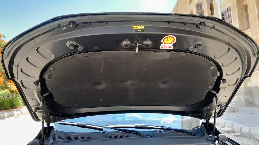CAR HOOD