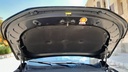 CAR HOOD