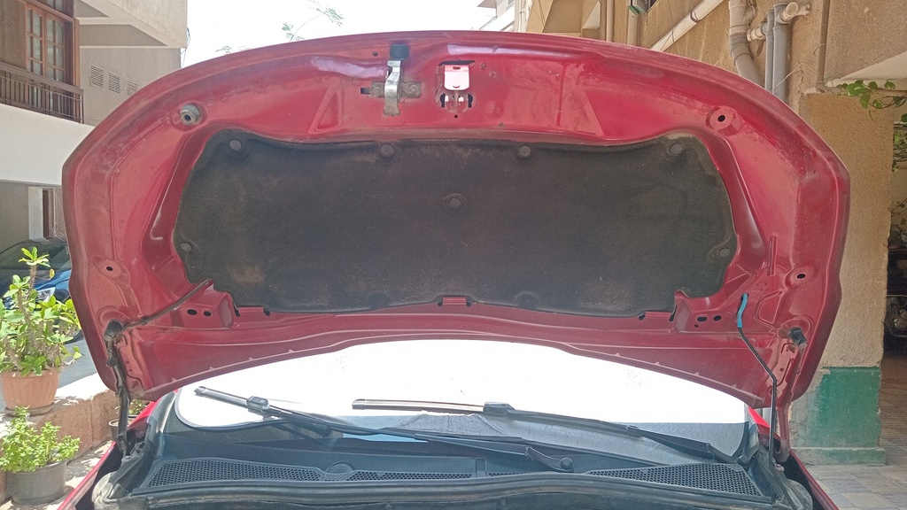 CAR HOOD