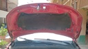 CAR HOOD