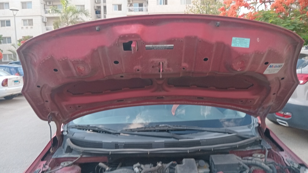 CAR HOOD