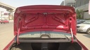 TRUNK HOOD