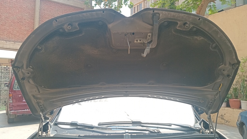 CAR HOOD