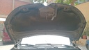 CAR HOOD