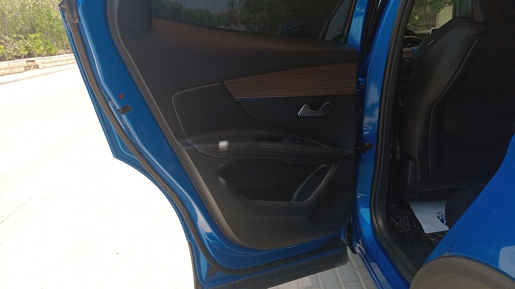 RR L DOOR