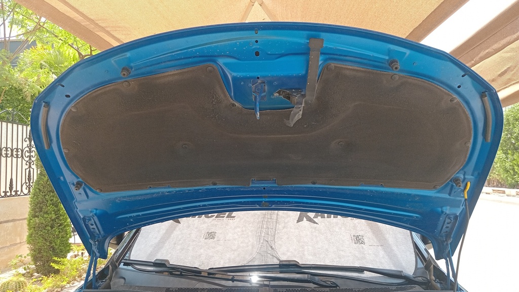 CAR HOOD