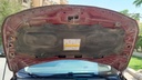 CAR HOOD
