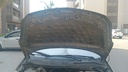 CAR HOOD