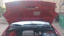 CAR HOOD