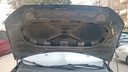 CAR HOOD