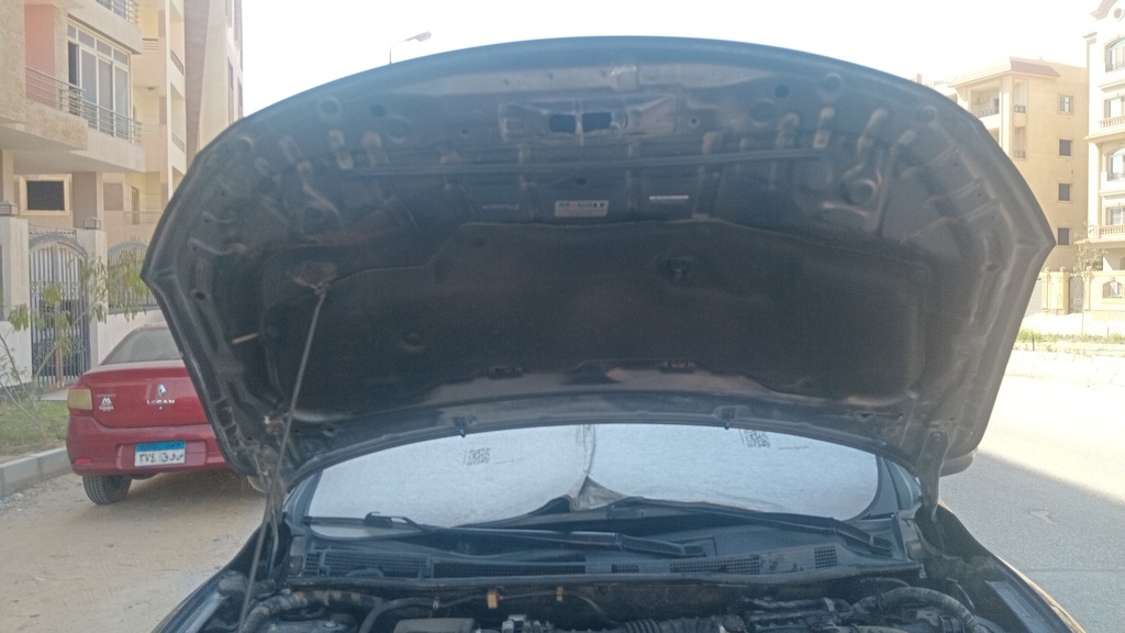 CAR HOOD