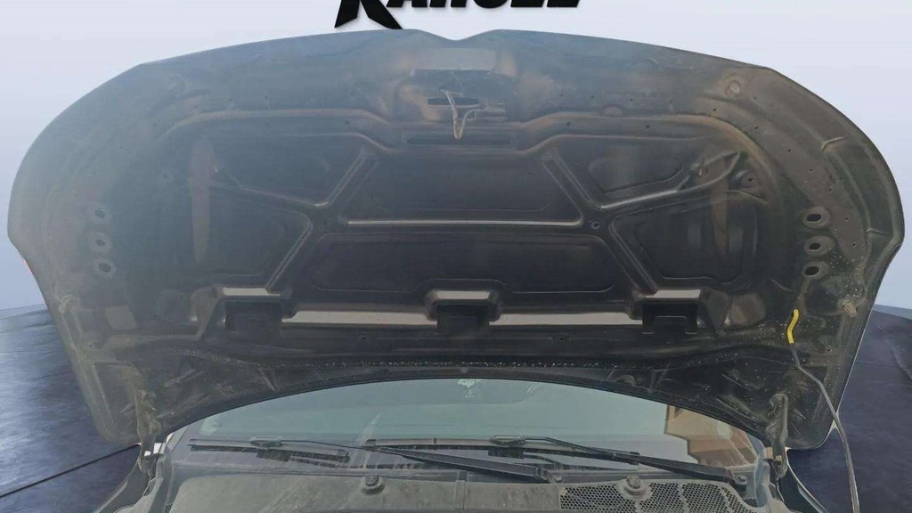 CAR HOOD