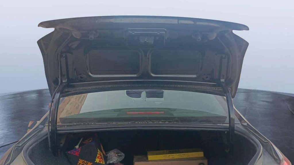 TRUNK HOOD