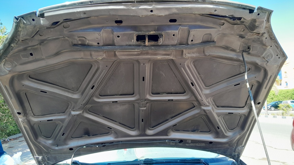 CAR HOOD