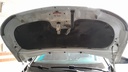CAR HOOD