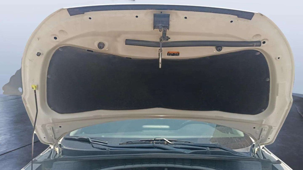 CAR HOOD