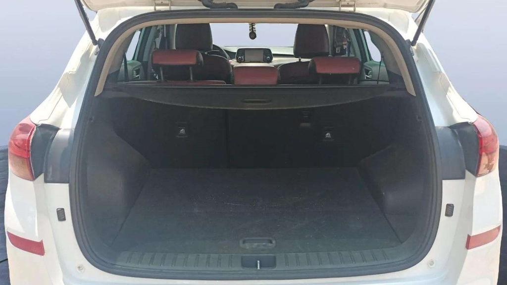 TRUNK