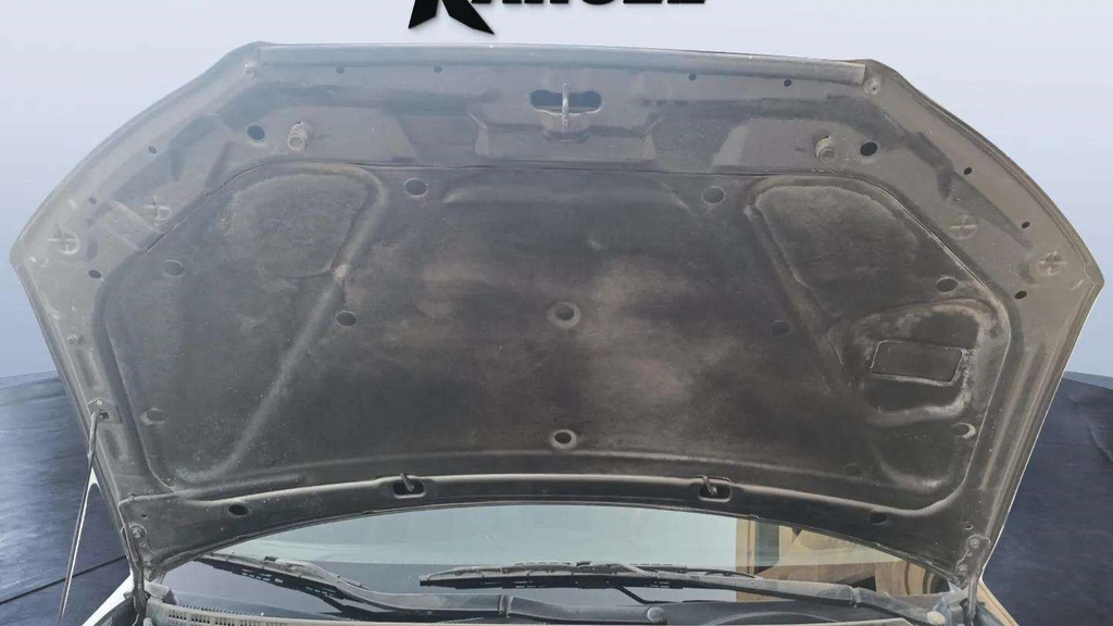 CAR HOOD