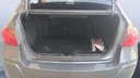 TRUNK