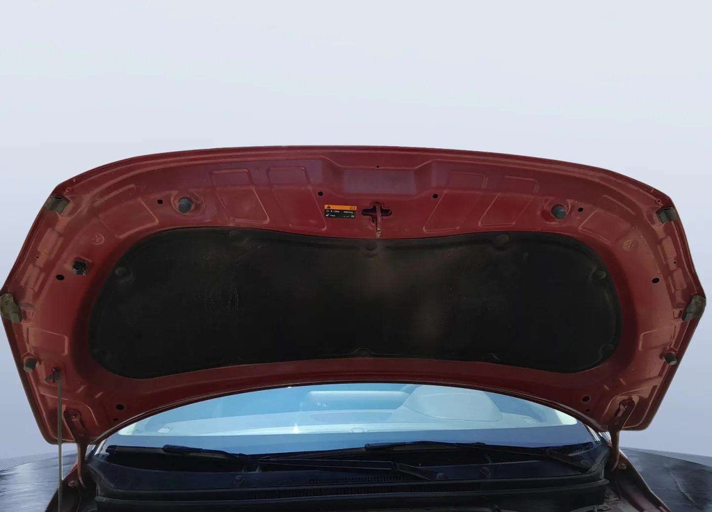 CAR HOOD
