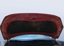 CAR HOOD