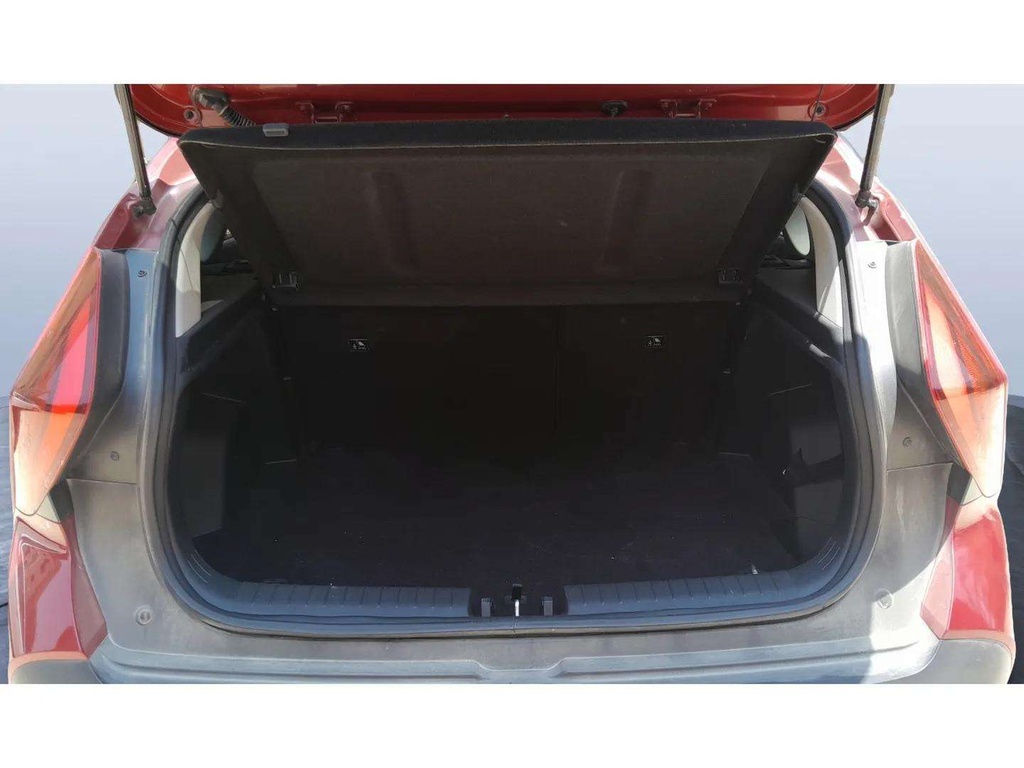 TRUNK