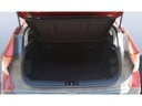 TRUNK