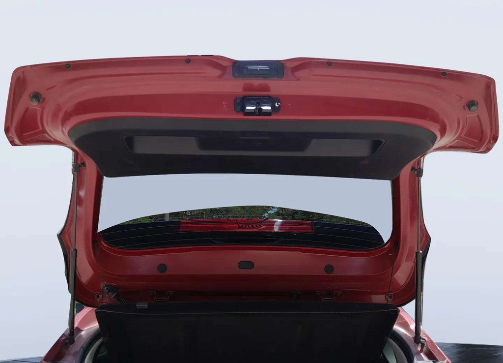 TRUNK HOOD
