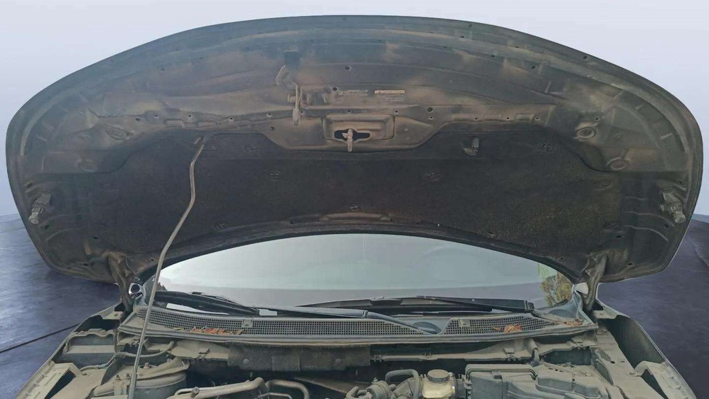 CAR HOOD